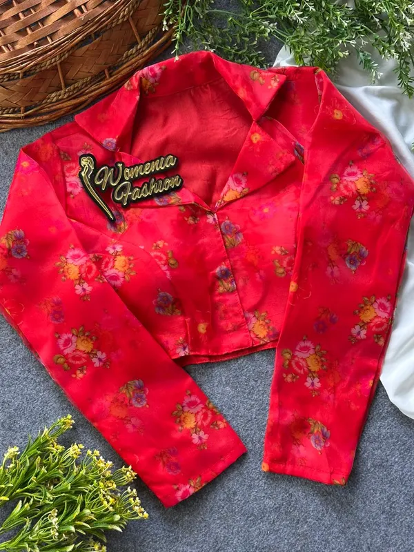 Delicate_Charm_Organza_Blouse
