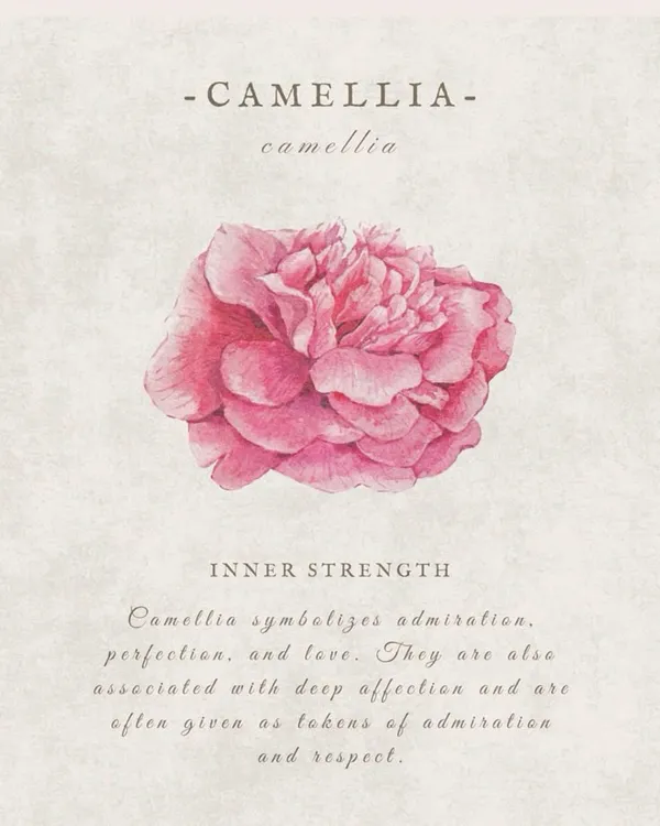 Camellia_flower_plant_red_(Plant_Pack_1)