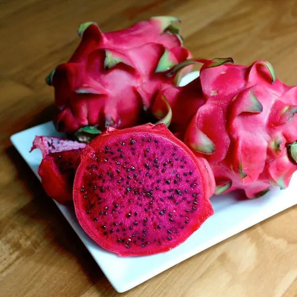 Dragon_Fruit_Plant_Combo_Pck_Of_3