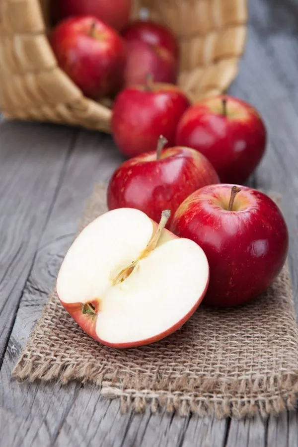 HRMN-99_Apple_Plant_Grafting_Plant