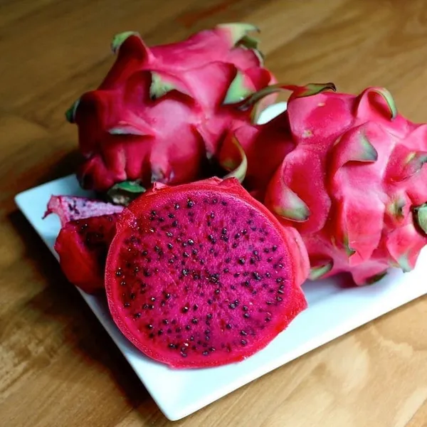 Hybrid_Pink__Dragon_Fruit_Plant