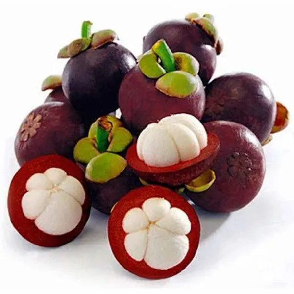 MANGOSTEEN_FRUIT_PLANT_(1.5-3_Feet_Height_Pack_Of_1)