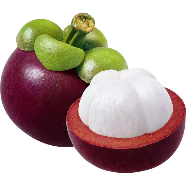 MANGOSTEEN_FRUIT_PLANT_(1.5-3_Feet_Height_Pack_Of_1)
