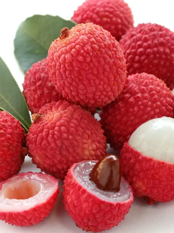 Muzaffarpur_Shahi_Litchi_Fruit_Plant_(Pack_Of_1)