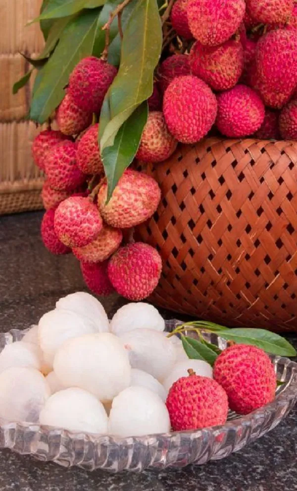 Muzaffarpur_Shahi_Litchi_Fruit_Plant_(Pack_Of_1)