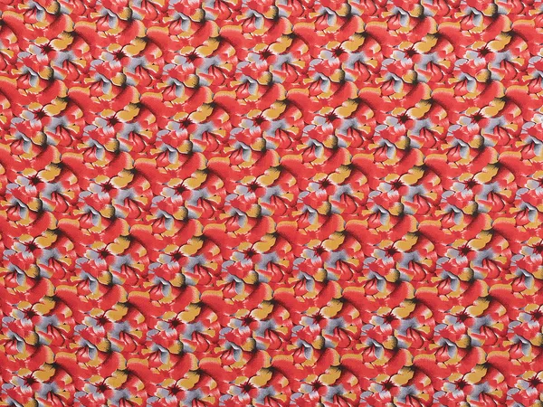 Floral_Print_Daily_Wear_Georgette_Saree��(White,_Red)