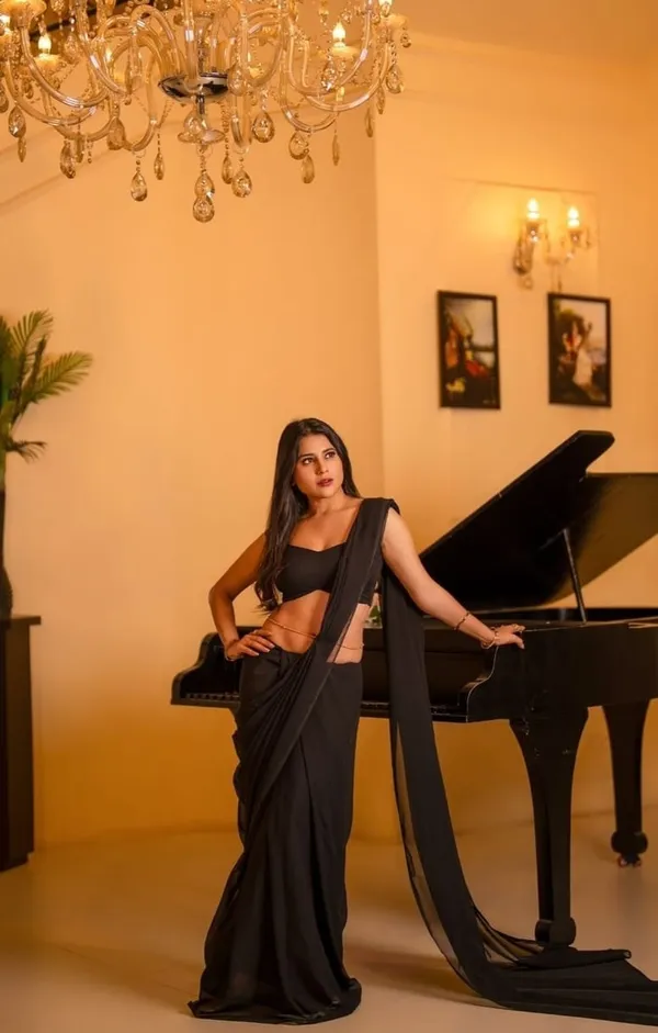 Elegant_Solid_Chiffon_Plain_Dyed_Saree_With_Unstitched_Blouse_Piece
