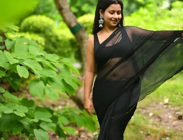 Elegant_Solid_Chiffon_Plain_Dyed_Saree_With_Unstitched_Blouse_Piece