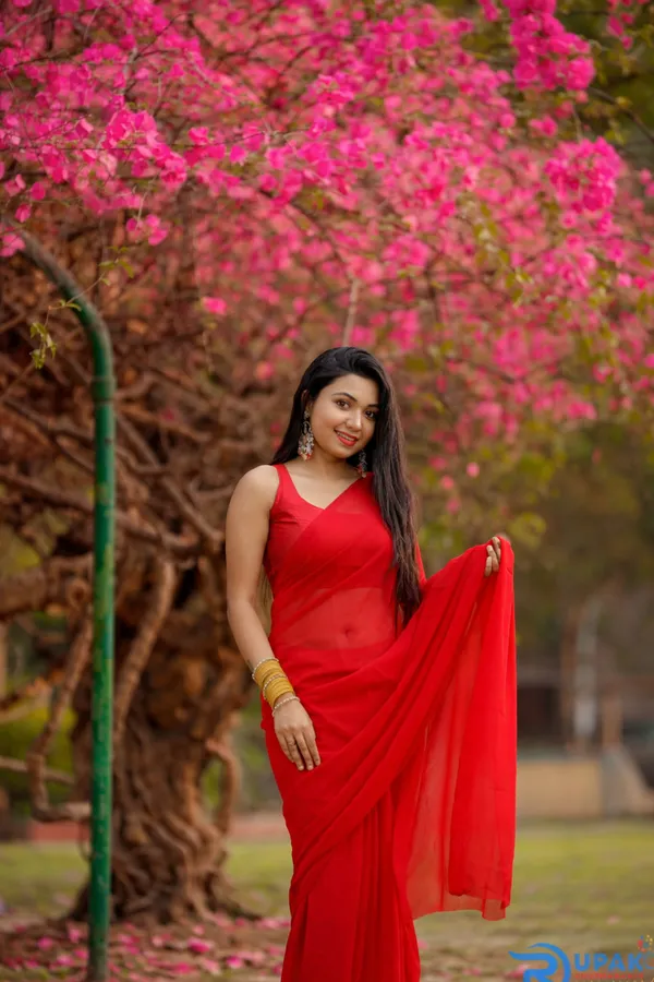 Plain_Dyed_Daily_Wear_Georgette_Saree_With_Unstitched_Blouse_Piece