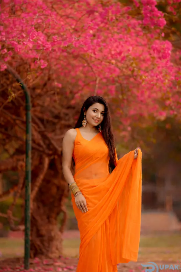 Plain_Dyed_Daily_Wear_Georgette_Saree_With_Unstitched_Blouse_Piece