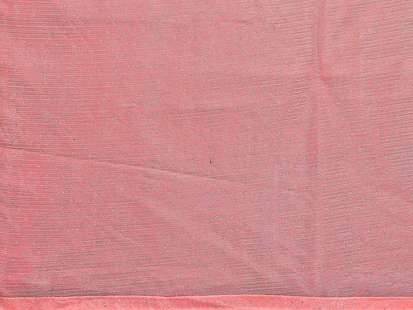 Net_Fabric_Lace_Border_Saree_With_Unstitched_Blouse_Piece_(Peach)