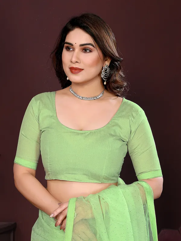 Net_Fabric_Lace_Border_Saree_With_Unstitched_Blouse_Piece_(Pastel_green)