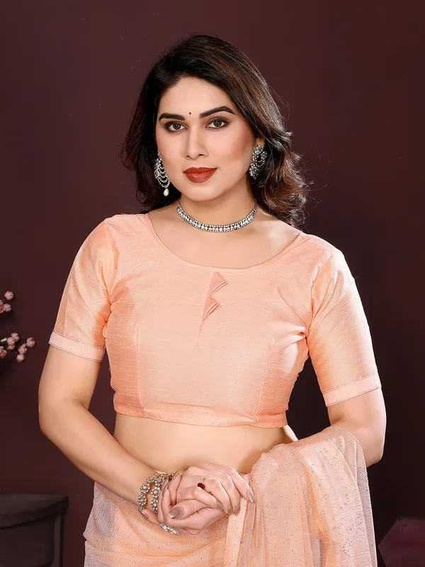 Net_Fabric_Lace_Border_Saree_With_Unstitched_Blouse_Piece_(Orange)