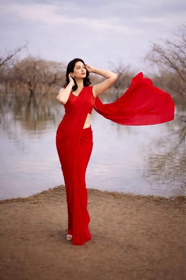 Plain_Dyed_Daily_Wear_Georgette_Saree_With_Unstitched_Blouse_Piece