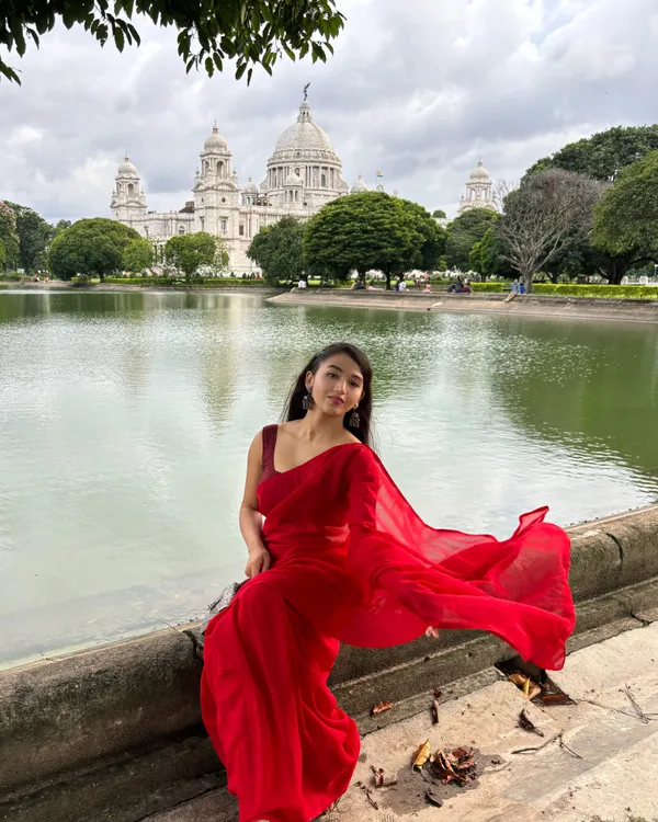 Plain_Dyed_Daily_Wear_Georgette_Saree_With_Unstitched_Blouse_Piece