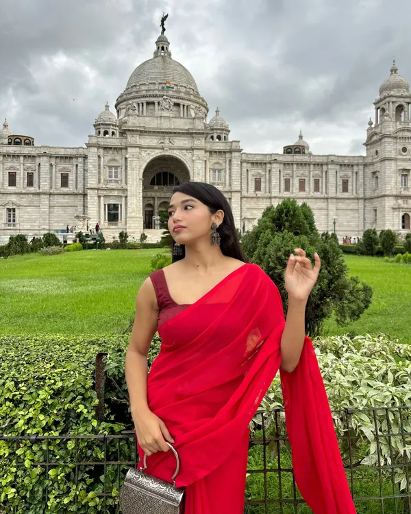 Plain_Dyed_Daily_Wear_Georgette_Saree_With_Unstitched_Blouse_Piece