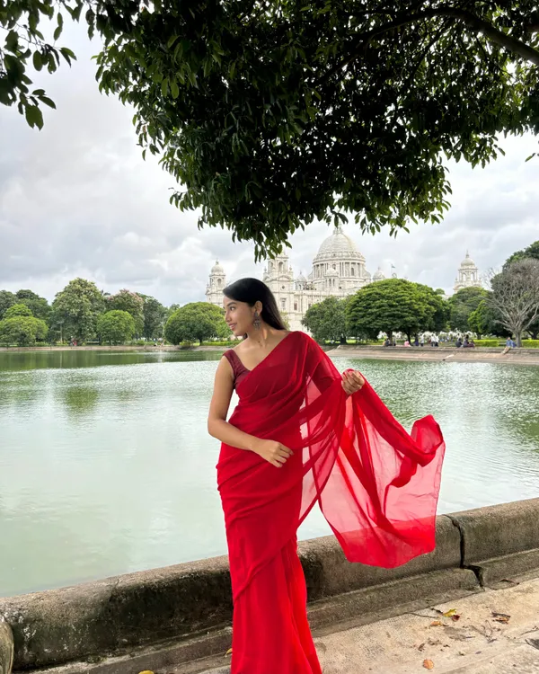 Plain_Dyed_Daily_Wear_Georgette_Saree_With_Unstitched_Blouse_Piece