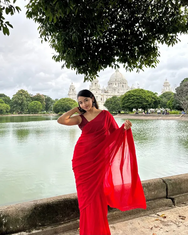 Plain_Dyed_Daily_Wear_Georgette_Saree_With_Unstitched_Blouse_Piece