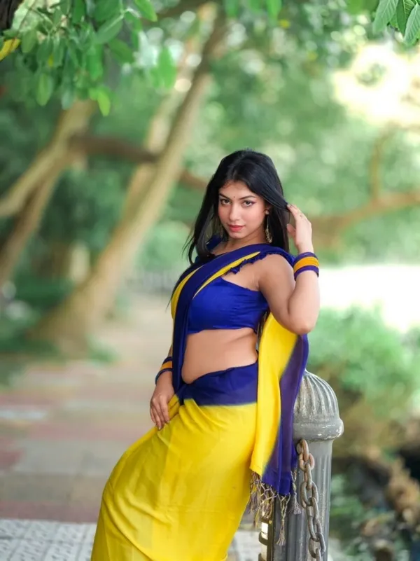 Daily_Wear_Georgette_Padding_Saree_With_Unstitched_Blouse_Piece