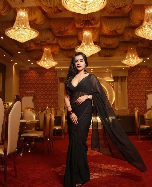 Elegant_Solid_Chiffon_Plain_Dyed_Saree_With_Unstitched_Blouse_Piece