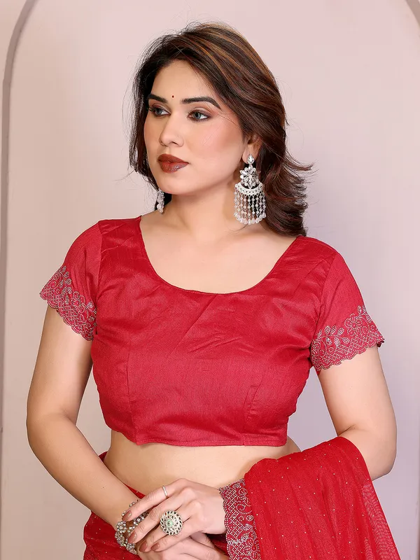 Net_Fabric_Lace_Border_Saree_With_Unstitched_Blouse_Piece_(RED)