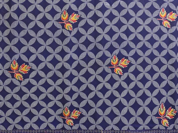 Printed_Lace_Border_Saree_With_UnStitched_Blouse_Piece_(BLUE)