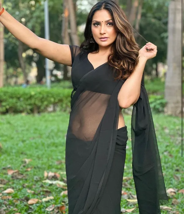 Elegant_Solid_Chiffon_Plain_Dyed_Saree_With_Unstitched_Blouse_Piece