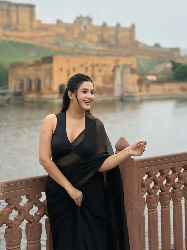 Elegant_Solid_Chiffon_Plain_Dyed_Saree_With_Unstitched_Blouse_Piece