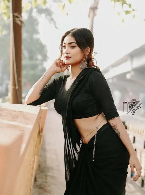 Elegant_Solid_Chiffon_Plain_Dyed_Saree_With_Unstitched_Blouse_Piece