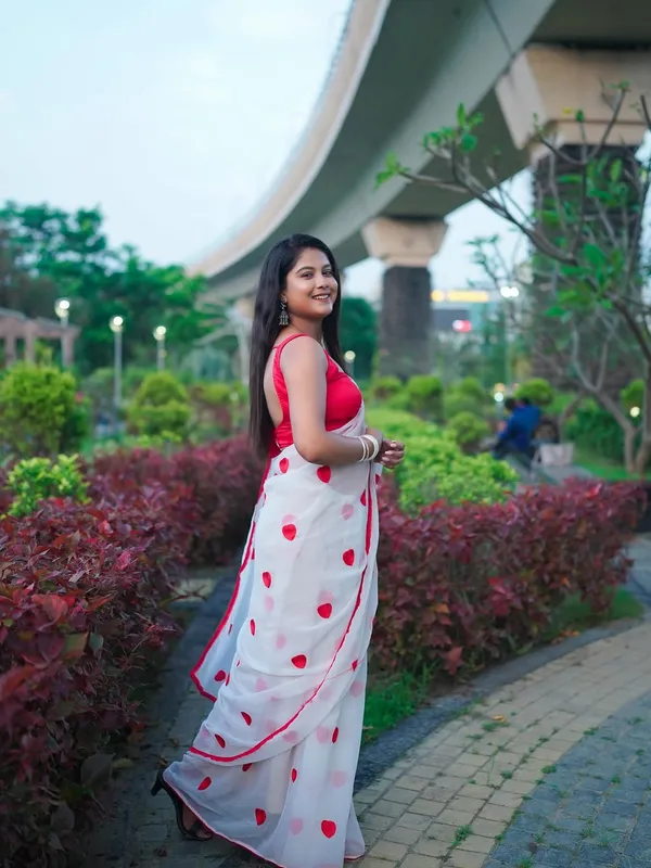 Georgette_embroidered_chiffon_saree_with_blouse_piece