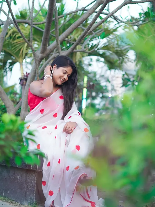 Georgette_embroidered_chiffon_saree_with_blouse_piece