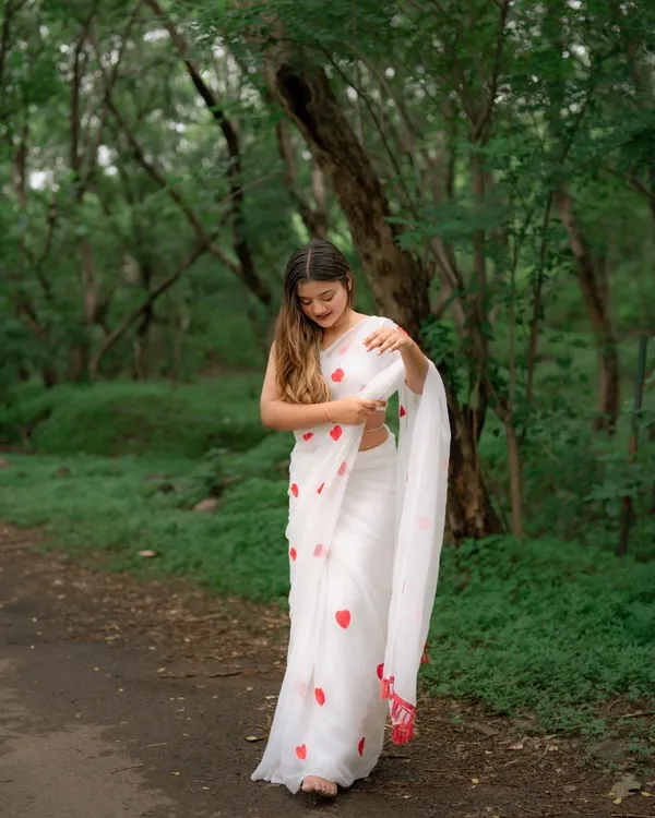 Georgette_embroidered_chiffon_saree_with_blouse_piece