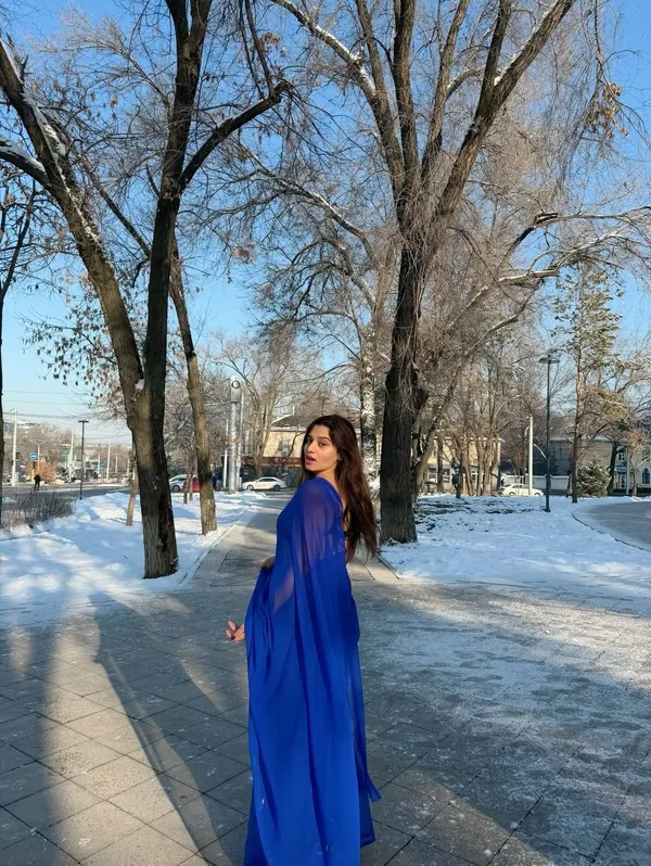 Plain_Dyed_Daily_Wear_Georgette_Saree_With_Unstitched_Blouse_Piece