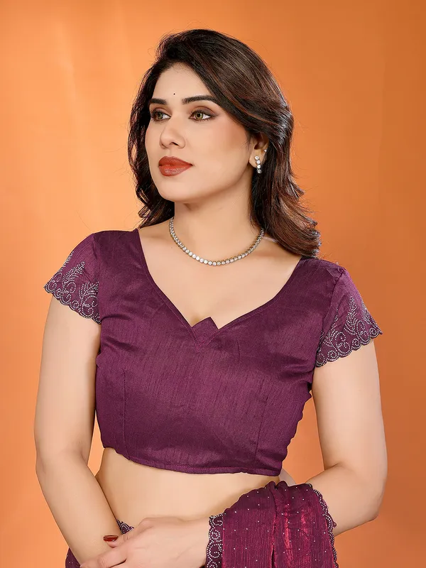 Women's_Chiffon_Shiny_Stone_and_Diamond_Work_Lace_Boarder_Saree_With_Unstitched_Blouse_Piece