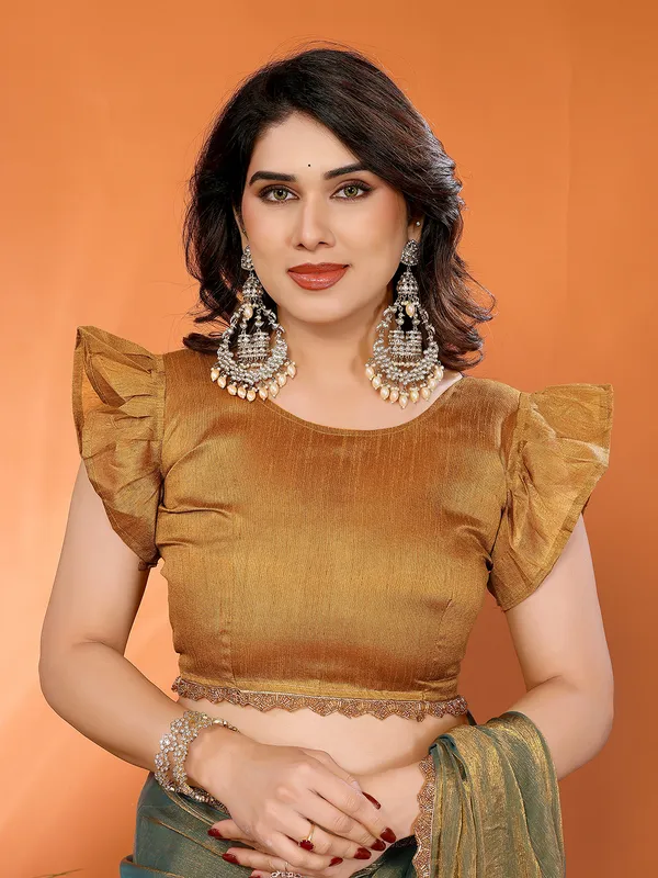 Women's_Tissue_Pure_Silk_Chiffon_Two_Tone_Hand_Work_Lace_Border_Saree_With_UnStitched_Blouse_Piece