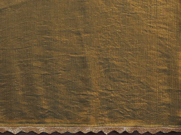 Women's_Tissue_Pure_Silk_Chiffon_Two_Tone_Hand_Work_Lace_Border_Saree_With_UnStitched_Blouse_Piece