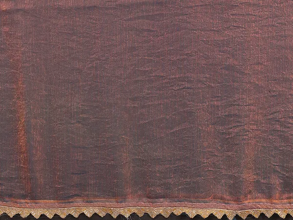 Women's_Tissue_Pure_Silk_Chiffon_Two_Tone_Hand_Work_Lace_Border_Saree_With_UnStitched_Blouse_Piece