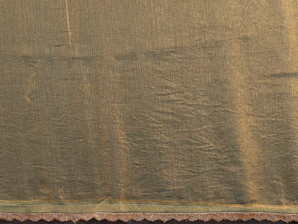 Women's_Tissue_Pure_Silk_Chiffon_Two_Tone_Hand_Work_Lace_Border_Saree_With_UnStitched_Blouse_Piece