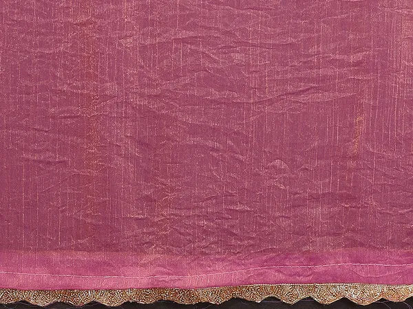 Women's_Tissue_Pure_Silk_Chiffon_Two_Tone_Hand_Work_Lace_Border_Saree_With_UnStitched_Blouse_Piece