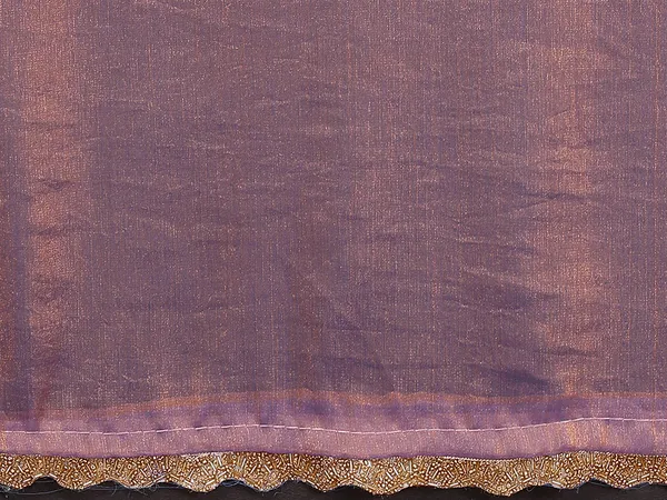 Women's_Tissue_Pure_Silk_Chiffon_Two_Tone_Hand_Work_Lace_Border_Saree_With_UnStitched_Blouse_Piece