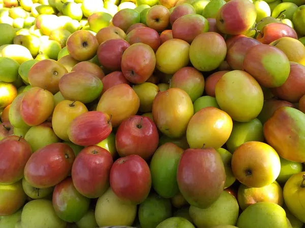 Hybrid_Red_Jujube/Ber_Apple_Fruit_Plant_&_Tree_For_Home_Garden,_Pack_Of_1