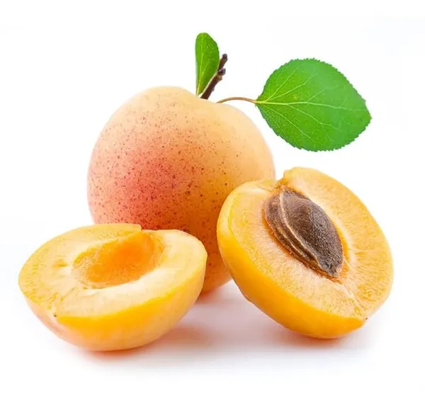 Delicious_Apricot_Hybrid_Fruit_Plant_&_Tree_(1.5-3.5_Ft_Height)_Pack_Of_1