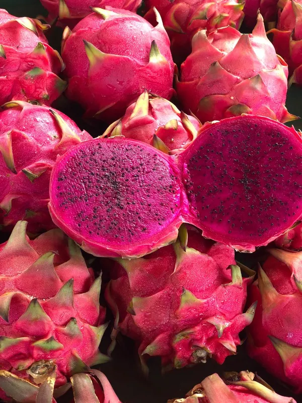 Dragon_Fruit_Plant_–_Tropical_Fruit_Variety_-_Easy_to_Grow_Plant_For_Home_Garden,_Pack_Of_1
