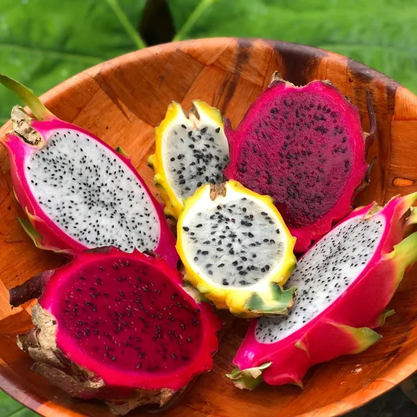 Easy_To_Grow_Dragon_Fruit_Plant_(Hybrid,_Pack_Of_3)