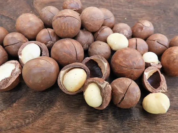 Most_Expensive_Macadamia_Nut_Fruit_Plant_&_Tree_For_Home_Garden_(1.5-3.5_Height)_Pack_Of_1