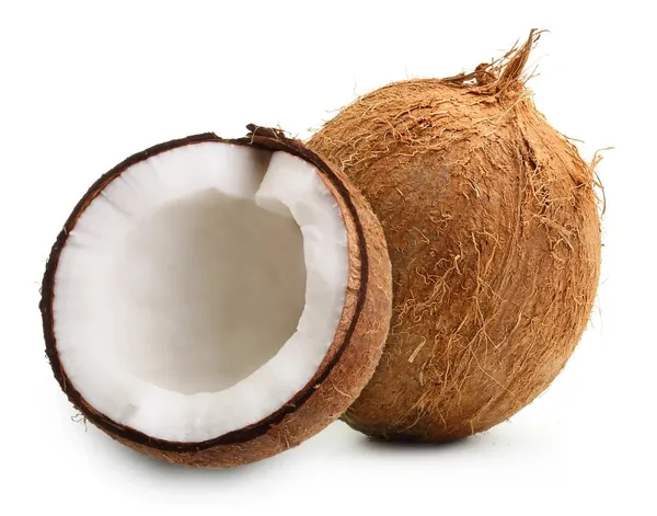 Short_Heighted_Coconut_Tree_For_Your_Home_Garden_(1.5-3.5_Ft_Plant_Height)_Vietnamese_Hybrid_Coconut_Plant_(Pack_Of_1)