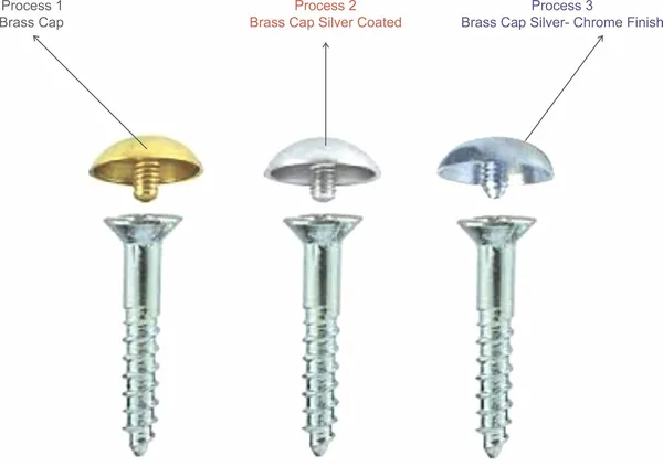 (Pack_of_50)_Screw_Mirror_Cap_Steel_and_Brass_Silver