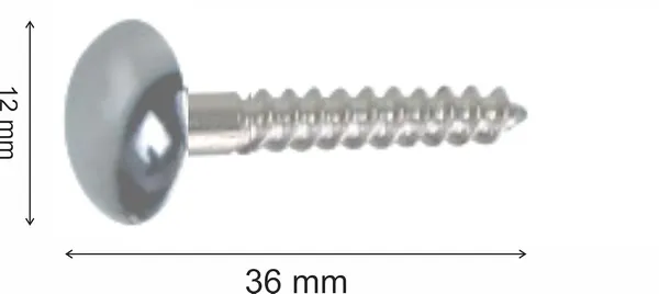 (Pack_of_50)_Screw_Mirror_Cap_Steel_and_Brass_Silver