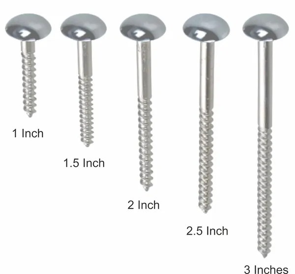 Steel_and_Brass_Mirror_Screw_2.5_Inches_Nickle_Silver,_Pack_of_20_pcs_/_Modern_and_Functional_/_Easy_to_Clean_/_Great_for_Mirrors,_Frames,_Artworks,_etc.