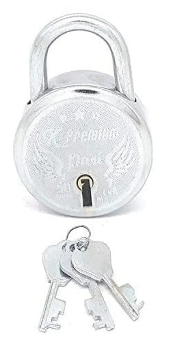 Padlock_X-Premium_Steel_Silver_Pack_of_1